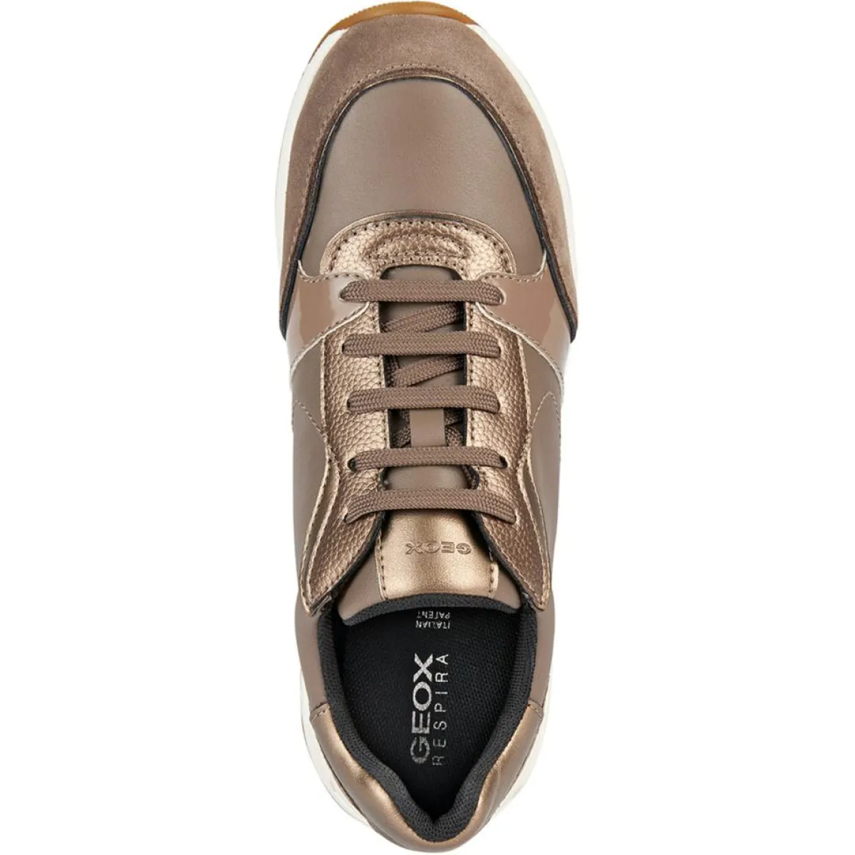 Geox Baskets|Baskets Bulmya taupe foncé