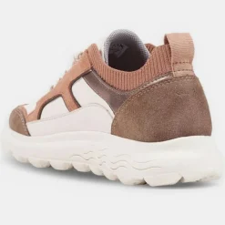 Geox Baskets|Baskets en Cuir Spherica multicolores