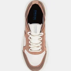 Geox Baskets|Baskets en Cuir Spherica multicolores