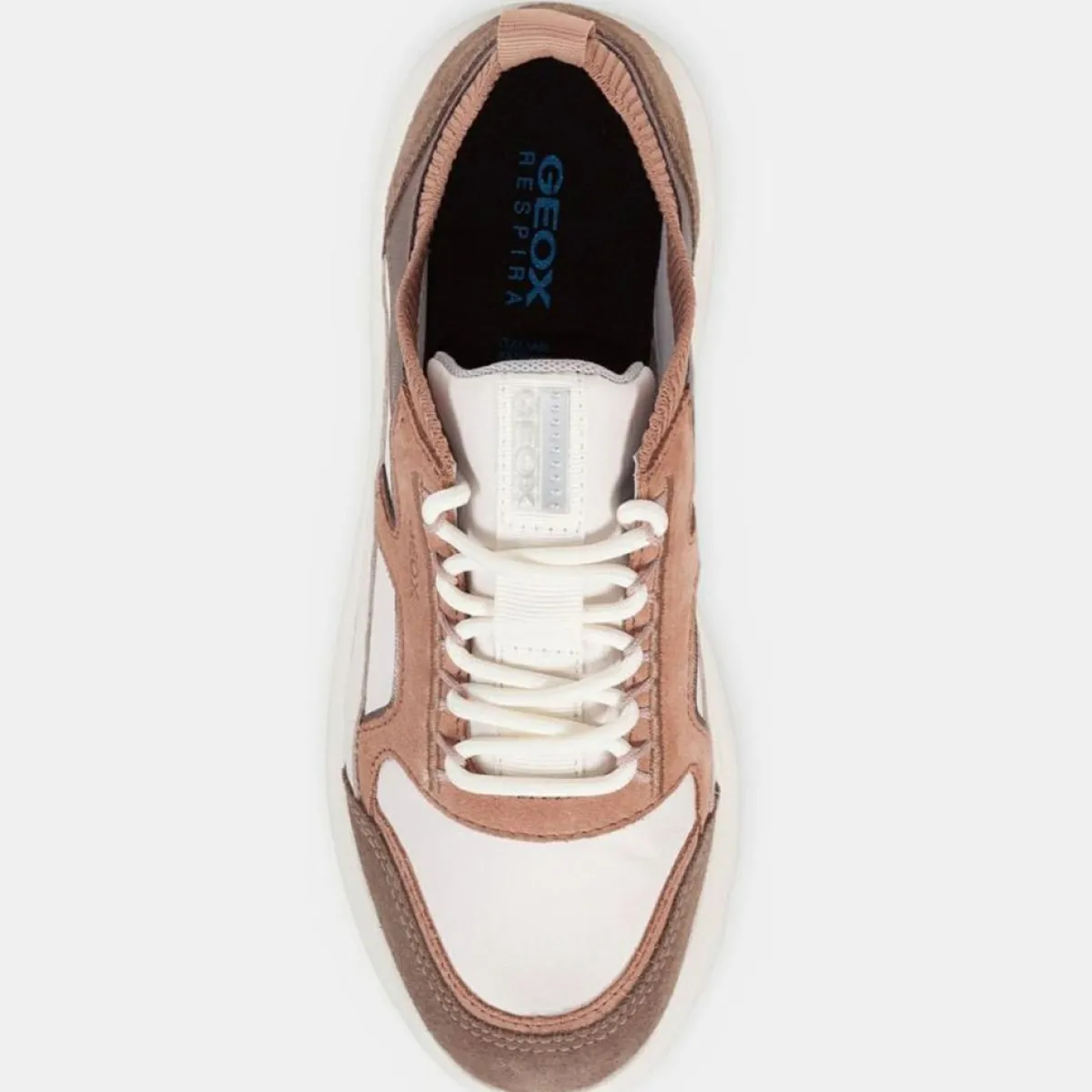 Geox Baskets|Baskets en Cuir Spherica multicolores