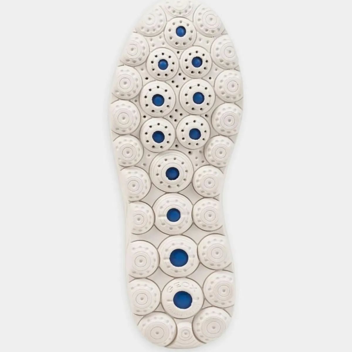 Geox Baskets|Baskets en Cuir Spherica multicolores