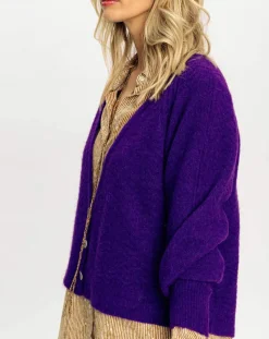 Lauren Vidal Gilets Et Cardigans|Cardigan Store violet