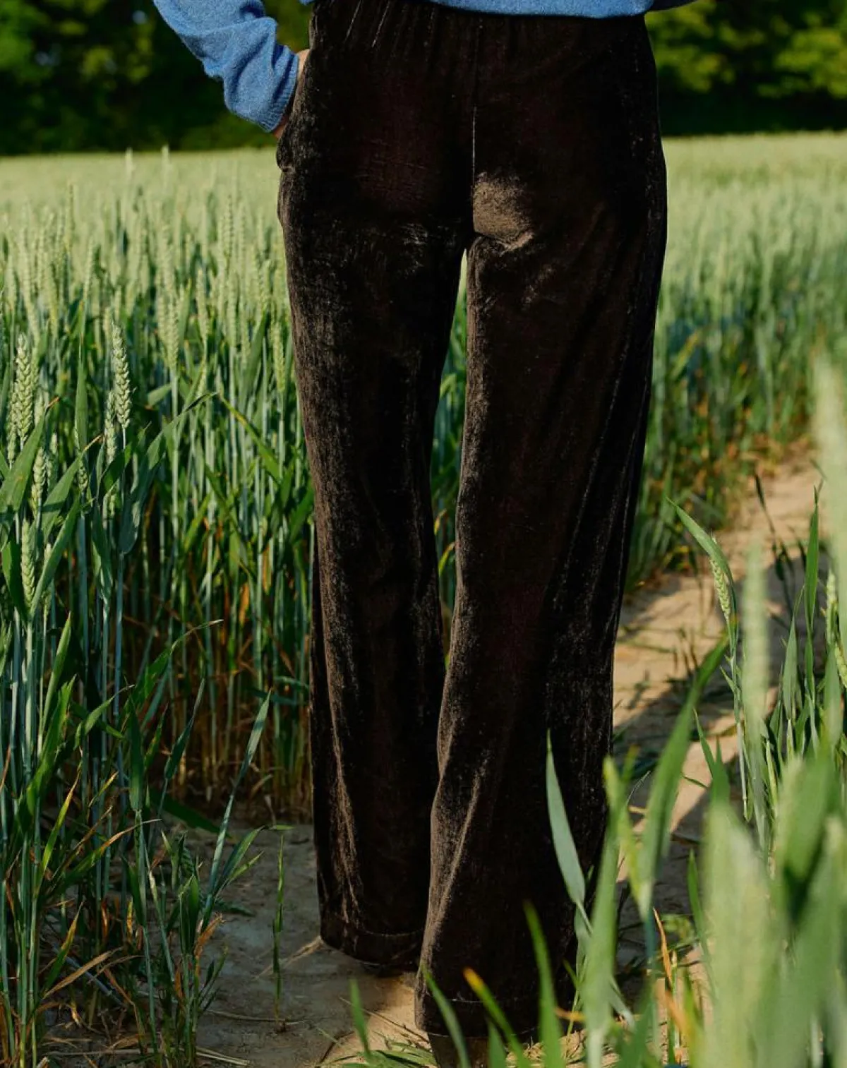 Lauren Vidal Pantalons|Pantalon Solo café