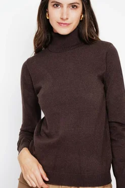 Assuili Sweats|Pull col roulé classique café