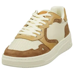 Scotch & Soda Baskets|Sneakers en Cuir Bia marron/beige
