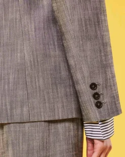 Tara Jarmon Vestes, Blousons|Veste en tissu flammé grise