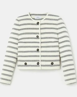 Zapa Vestes, Blousons|Veste Vincennes rayures